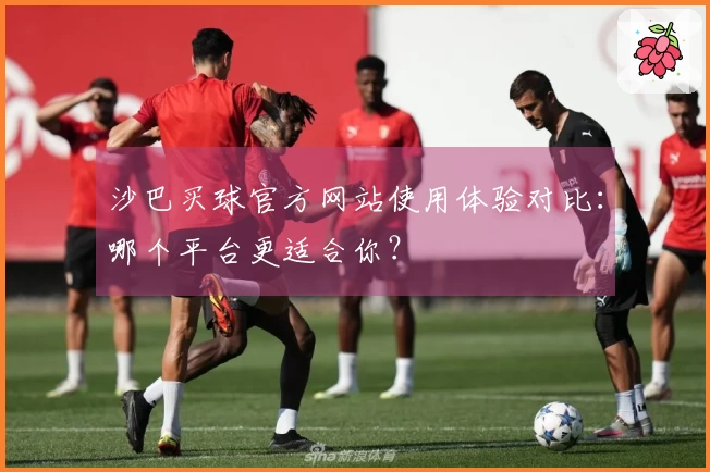 沙巴买球官方网站使用体验对比：哪个平台更适合你？