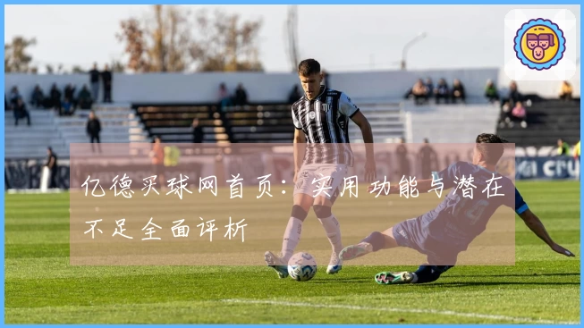 亿德买球网首页：实用功能与潜在不足全面评析