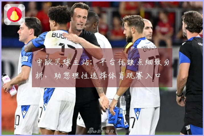 中欧买球主站：平台优缺点细致分析，助您理性选择体育观赛入口
