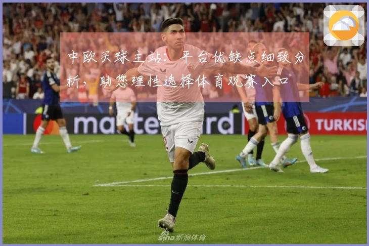 中欧买球主站：平台优缺点细致分析，助您理性选择体育观赛入口