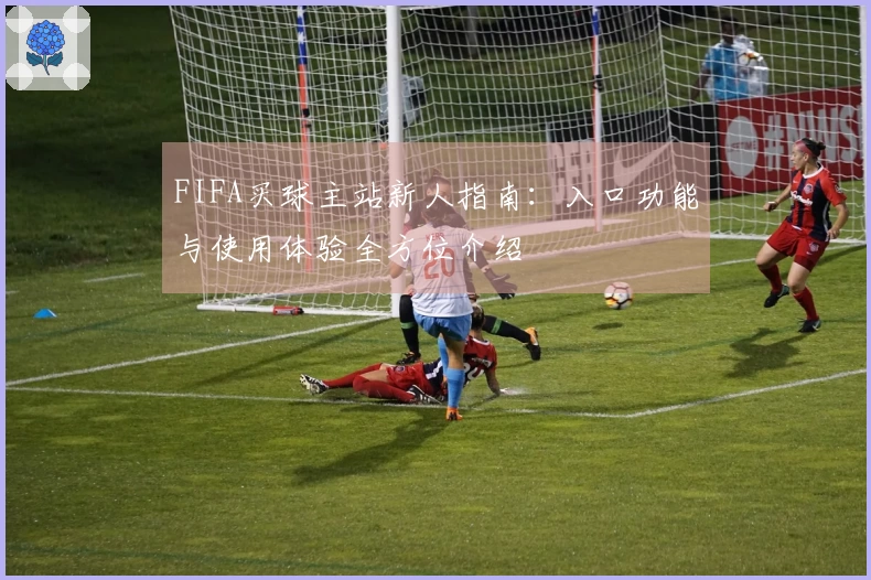 FIFA买球主站新人指南：入口功能与使用体验全方位介绍