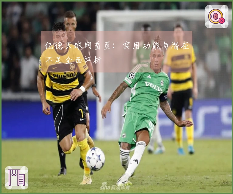 亿德买球网首页：实用功能与潜在不足全面评析
